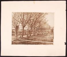 Barta Ernő (1878-1956): Aquincum. Rézkarc 28/100, papír, jelzett, 18×24 cm