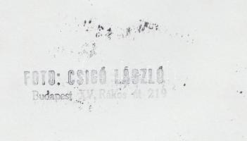 cca 1970-1980 Csigó László: Mit akarsz? Ma már tejeltem…, vintage fotó, pecséttel jelzett,...