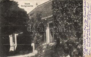 Tass gyógyszertár (fa)