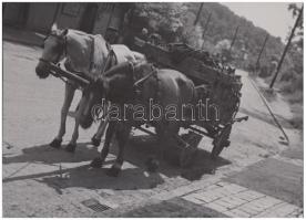 cca 1930-1940 Reich Péter Cornel: Áruszállítás két lóerővel, vintage fotó, pecséttel jelzett, 13x18 cm