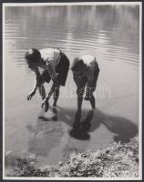 cca 1930-1940 Reich Péter Cornel: Békalesők, vintage szociofotó, jelzetlen, a szerző hagyatékából, 22x17 cm