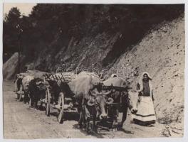 cca 1900-1910 Szerbia, kétökrös szekérrel a vásárból hazafelé, 15x20 cm