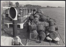 1949 Tiszavölgyi József: A Szent István gőzhajóval szállítják a friss zöldségféléket Mohács-Budapest útvonalon, pecséttel jelzett vintage riportfotó, 13x18 cm