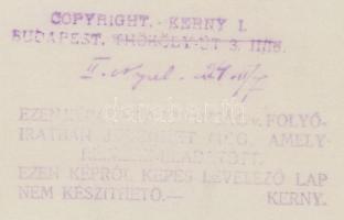 cca 1930 Kerny István (1879-1963): Legelésző juh nyáj a Hortobágyon, pecséttel jelzett, feliratozott...