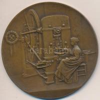 Ausztria/Bécs DN "Bécsi Pénzverde" Br emlékérem (60mm) szign.: R. Placht T:2 Austria/Vienna ND "K.K. Haupt Münzamt Wien / Mint of Vienna" Br commemorative medallion (60mm) sign: R. Placht C:XF