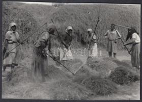 cca 1930 Cséphadaró (másfélfa vagy csép) használata és betakarítás kétökrös szekérrel, 2 db fotó, ko...