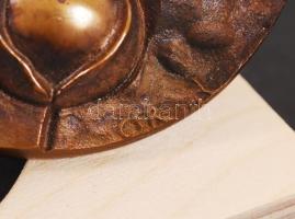 Csíkszentmihályi Róbert (1940-): OMÉK - 1985 Magyar Fórum - Magyar Agrárszakemberek Tudományos Talál...