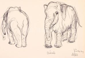 Szőnyi Jenő (1902-?): "Csámli" az elefánt. Toll, papír, jelzett, 18×26 cm