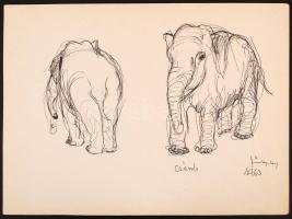 Szőnyi Jenő (1902-?): "Csámli" az elefánt. Toll, papír, jelzett, 18×26 cm