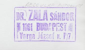 cca 1970 Dr. Zala Sándor (Bp.): Régi idő hírnöke, vintage fotóművészeti alkotás, feliratozott, pecsé...