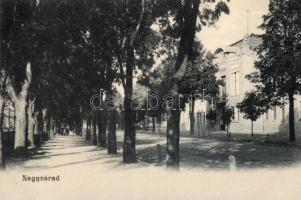 Nagyvárad, Sebő Imre kiadása