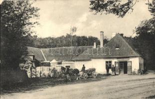 Nagyszarva, Rohovce; Fogyasztási Szövetkezet, a hátoldalon Gyermek Posta bélyegekkel / Cooperative shop, Childrens Post stamps on backside (Rb)