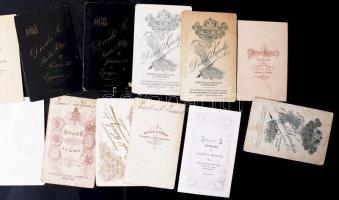 cca 1870-1920 A Divald család eperjesi, iglói, tátrafüredi, budapesti műtermeiben készült, régi, kem...