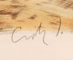 Prihoda István-Csók István: Déli pihenő. Színezett rézkarc, papír, jelzett, üvegezett keretben 38×49...