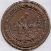 DN "M.V.S" Br lemezérem (45mm) T:2