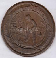 DN "M.V.S" Br lemezérem (45mm) T:2