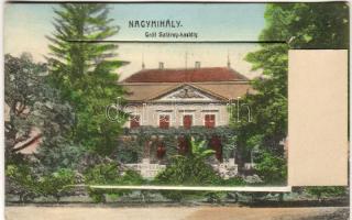 Nagymihály Leporello mit Synagoge