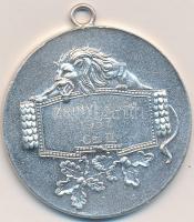 1937. "Huj huj hajrá / Zrínyi kupa Cs.II." ezüstözött Br díjérem (40mm) szign. Szigethy - ...