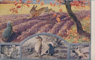 19 darabos használatlan képeslap sorozat, régi grafikai meselapok / series of 19 unused fairy tale a...