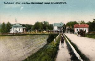 Budakeszi, József szanatórium (fa)