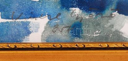 Vince Győző (1925-2001): Vízparton. Akvarell, papír, jelzett, üvegezett keretben, 32×46 cm