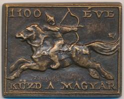 Fűz Veronika (1951-) "1100 éve küzd a magyar" Br emlékplakett (36x46mm) T:2