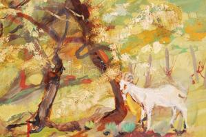 Vrábel jelzéssel: Primavera. Olaj, farost, keretben, 38×60 cm