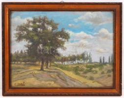 ZanaS jelzéssel: Fasor. Olaj, karton, üvegezett keretben, 24×31 cm