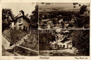 Klotildliget (Pomáz) Galgóczy- és Nagy Árpád-villa (apró szakadás / small tear)