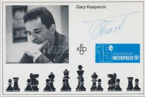 Schaaktoernooi Interpolis / chess tournament - 12 unused cards with chess players, from different ye...