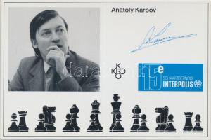 Schaaktoernooi Interpolis / chess tournament - 12 unused cards with chess players, from different ye...