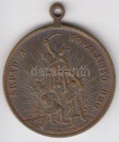 Markovits 1896. "Árpád a honalapító / I. Ferencz József a legalkotmányosabb király" Br emlékmedál (29mm) T:2-