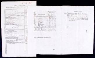 1815-1819 A Nemzeti Múzeum felállítására szánt pénzalap latin nyelvű kimutatásai, Temes vármegye pén...