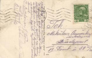 Vienna, Wien VIII. Kaiser Josef Keller, Alserstrasse 23. floral s: Sch