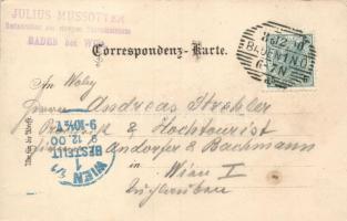 1900 Hoher Lindkogel, Eisernen Thor (Baden); Eisernes Thor-Schutzhaus / alpine rest house. Schneider...