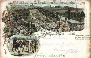 1896 Stuttgart, Bad Cannstatt X. Deutschen Handwirtschaflichen Ausstellung / Agricultural Expo, litho