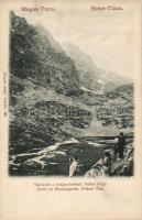 Tátra, Felkai-völgy, virágos kert / valley, flower garden