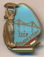 ~1960-1970. "Szép Budapestért" zománcozott jelvény T:2