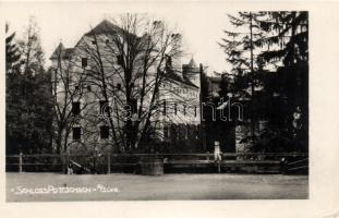 Pottschach, castle