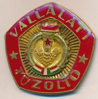 ~1970-1980. "Vállalati Tűzoltó" fém jelvény T:1