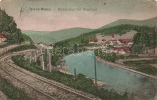 Dornavatra, Vatra Dornei; Bistrita river by Iacobeni (EK)