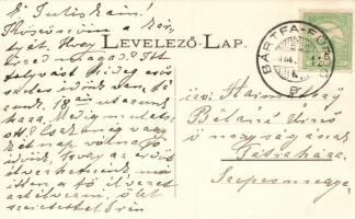 Bártfafürdő, Deák tér, Erzsébet királyné forrás; Divald Adolf / Deák square, fountain