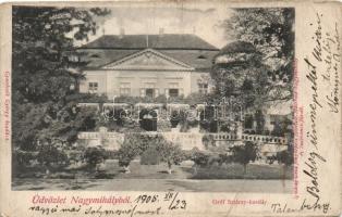 Nagymihály, Gróf Sztáray kastély / castle (fa)