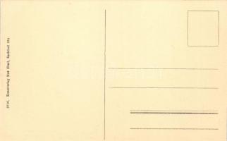 Karlovy Vary, Karlsbad; Goetheweg, Verkaufsläden des Gewerbevereins, Kunsthalle; Kunstverlag Max Ebe...