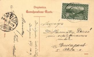 Bosnische Gewerbetreibende / folklore