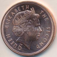 Falkland-szigetek 2011. 2p T:1 Falkland Islands 2011. 2 Pence C:UNC
