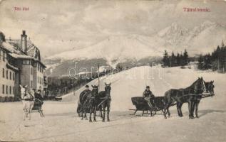 Tátralomnic, winter, horse cart (fa)