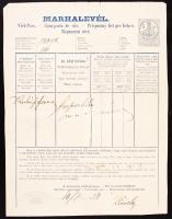 1884 Hajtani szánt bikáról szóló marhalevél Lajosmizséről