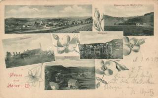 1899 Adorf, Eisenerzgrube Martenberg, Gipswerk, Molkerei, Mühlenthor, / iron ore mine, mountain, gypsum factory, dairy, mill, floral (fa)