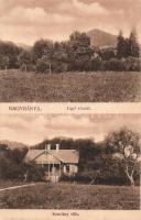 Nagybánya, Liget, Kosutány-villa; Kovács Gyula kiadása